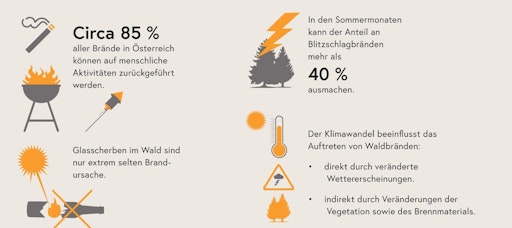 Totschnig zur Waldbrandgefahr: Jetzt ist Prävention entscheidend