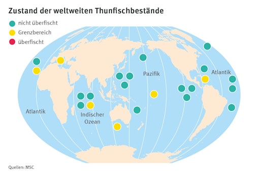 Good News: Keiner der 23 kommerziell befischten Thunfischbestände
weltweit ist derzeit überfischt // Weiterer Text über ots und
www.presseportal.de/nr/102624 / Die Verwendung dieses Bildes für
redaktionelle Zwecke ist unter Beachtung aller mitgeteilten
Nutzungsbedingungen zulässig und dann auch honorarfrei.
Veröffentlichung ausschließlich mit Bildrechte-Hinweis.