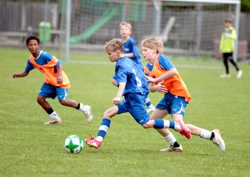 Vorschau Bild zu OTM