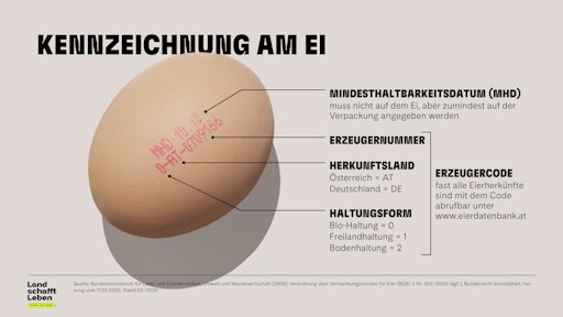 Vorschau Bild von Der Erzeugercode am Ei verrät Haltungsform, Herkunftsland und
Herstellerbetrieb.
