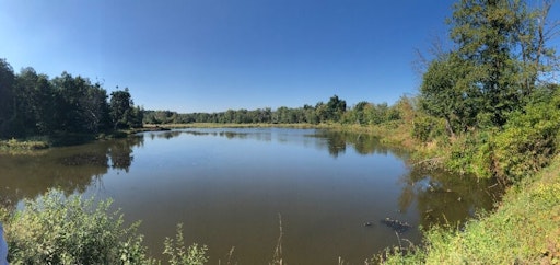 Vorschau Bild von Teich am Truppenübungsplatz Allentsteig