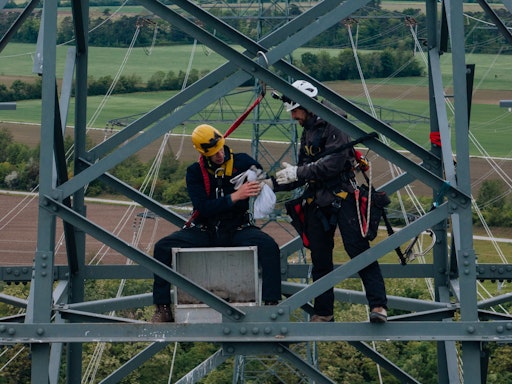 Vorschau Bild von Sakerfalken bauen keine Nester - Nisthilfen auf APG-Strommasten
sind daher willkommenes Lebensraumelement: ruhig, sicher, mit
ausgezeichnetem Überblick über das Jagdrevier.