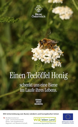 Biene auf der Blüte einer Schafgarbe sitzend mit der Botschaft
"Einen Teelöffel Honig schenkt uns eine Biene im Laufe Ihres
Lebens."