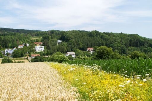 Vorschau Bild zu OTM