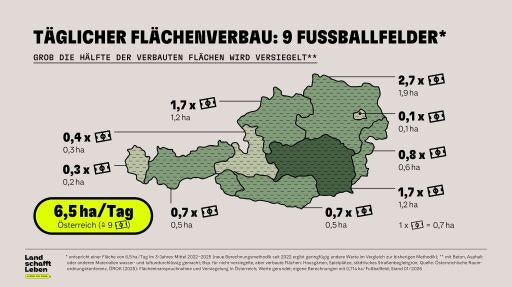 Vorschau Bild zu OTM