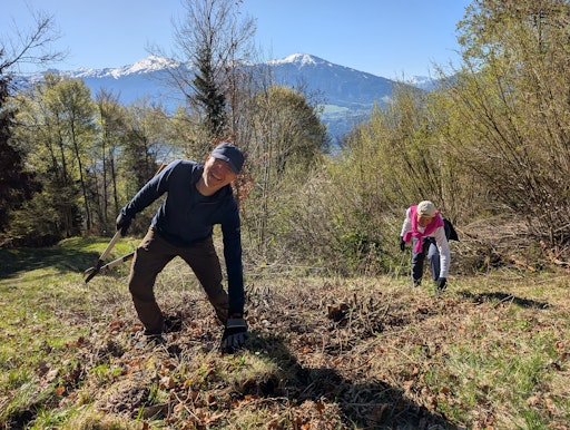 Auf der Arzeler Alm wurde die Vegation zurückgeschnitten //
Weiterer Text über ots und www.presseportal.de/nr/64783 / Die
Verwendung dieses Bildes für redaktionelle Zwecke ist unter
Beachtung aller mitgeteilten Nutzungsbedingungen zulässig und dann
auch honorarfrei. Veröffentlichung ausschließlich mit
Bildrechte-Hinweis.