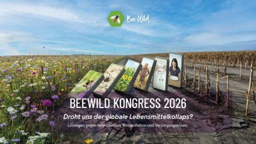 Vorschau Bild von Ablaufplan BeeWild Kongress 2026
