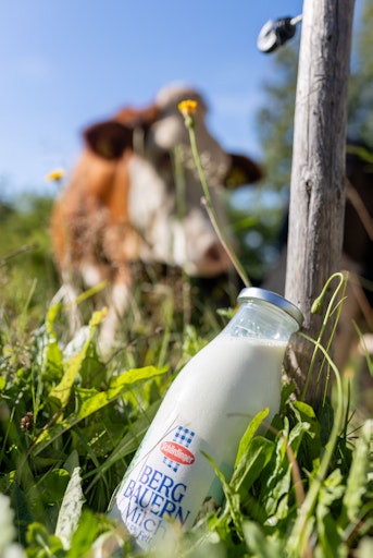 Vorschau Bild von Berglandmilch erfolgreich nach ISO 14001 zertifiziert
