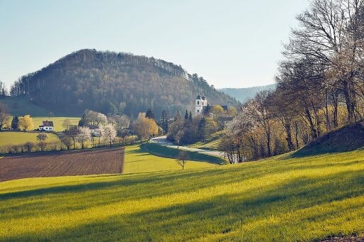 Vorschau Bild zu OTM