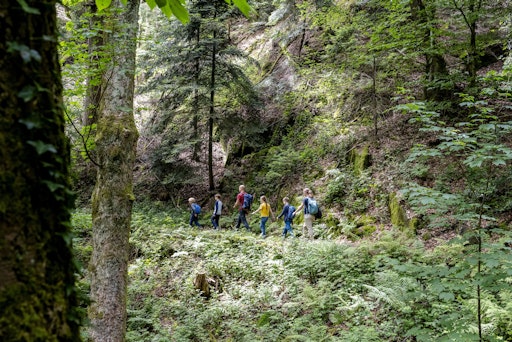 Eine Familienwanderung auf dem Gernsbacher Sagenweg // Weiterer
Text über ots und www.presseportal.de/nr/60614 / Die Verwendung
dieses Bildes für redaktionelle Zwecke ist unter Beachtung aller
mitgeteilten Nutzungsbedingungen zulässig und dann auch honorarfrei.
Veröffentlichung ausschließlich mit Bildrechte-Hinweis.
