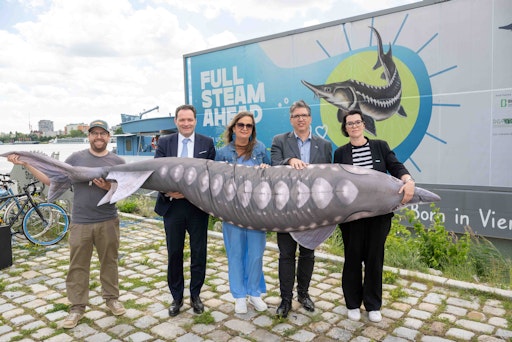 LIFE-Boat4Sturgeon gelingt erste erfolgreiche Nachzucht von
Sternhausen-Stören