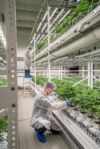 THC-Produktionsstätte in Lindau, ZH // Weiterer Text über ots und
www.presseportal.ch/de/nr/100094786 / Die Verwendung dieses Bildes
für redaktionelle Zwecke ist unter Beachtung aller mitgeteilten
Nutzungsbedingungen zulässig und dann auch honorarfrei.
Veröffentlichung ausschließlich mit Bildrechte-Hinweis.