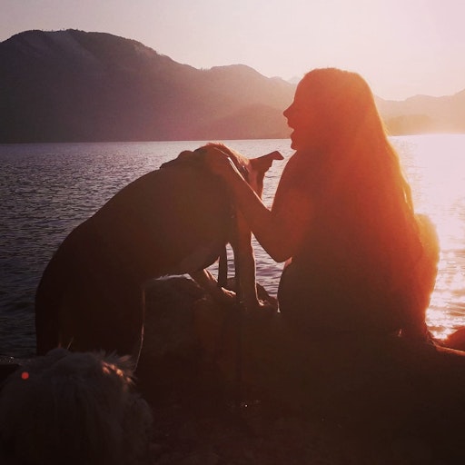 Vorschau Bild von PFOTENHILFE-Hund im Urlaub