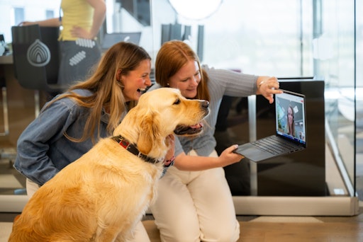 Vorschau Bild von Pets at work bei Mars in London