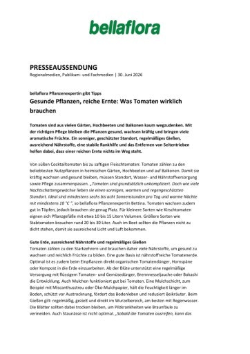Vorschau Bild von bellaflora Pflanzenexpertin gibt Tipps Gesunde Pflanzen, reiche Ernte: Was Tomaten wirklich brauchen