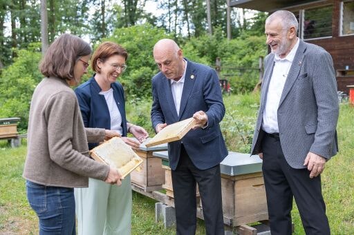 Vorschau Bild zu OTM