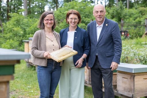 Vorschau Bild zu OTM