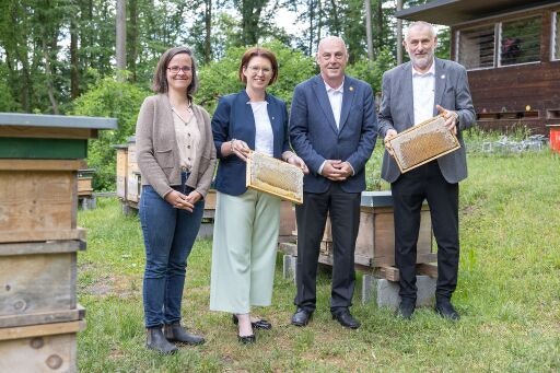 Vorschau Bild zu OTM