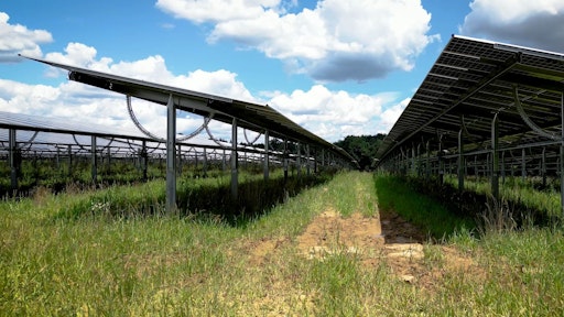 Vorschau Bild von sonnennachgeführte Agri-Photovoltaikanlage