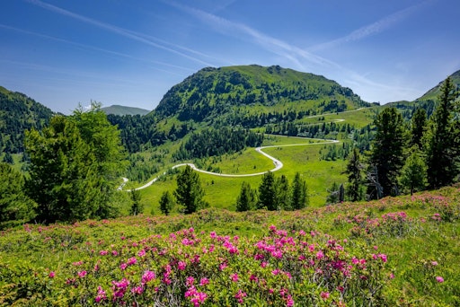 Nockalmstraße Panormabild