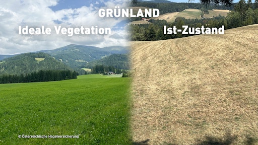 Vorschau Bild von Dürreschäden bei Grünland