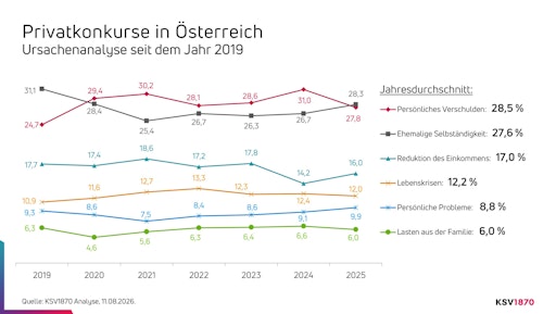 KSV1870 Analyse der Privatkonkurs-Ursachen im Jahresvergleich
seit 2019