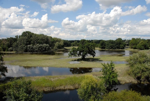 March Thaya Naturreservat