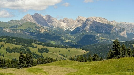 Vorschau Bild zu OTM
