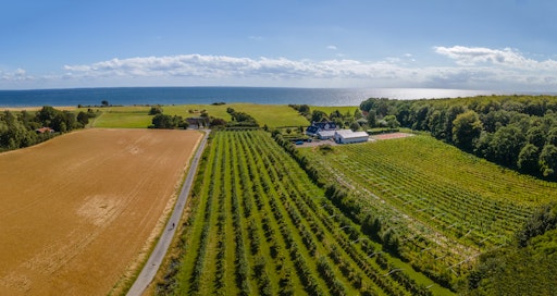 Vesterhavegaarden Vineyard // Weiterer Text über ots und
www.presseportal.de/nr/182186 / Die Verwendung dieses Bildes für
redaktionelle Zwecke ist unter Beachtung aller mitgeteilten
Nutzungsbedingungen zulässig und dann auch honorarfrei.
Veröffentlichung ausschließlich mit Bildrechte-Hinweis.