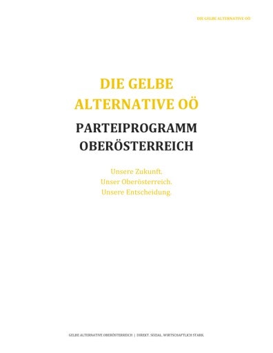 von BLOÖ genehmigtes, von den Gelben entnommenes Parteiprogramm zum Antritt zur Landtagswahl 2027 sehr sozial, sehr viel Wirtschaft, sehr national