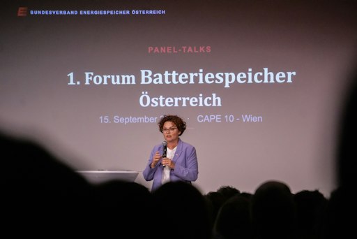 Vorschau Bild von Christoph Schmidt Elisabeth Zehetner Urban Windelen
