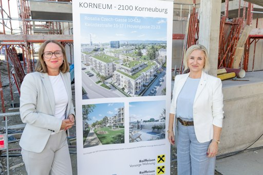 Vorschau Bild von Dachgleiche in Korneuburg