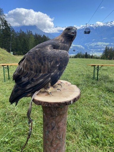 Vorschau Bild zu OTM