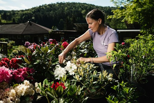 Vorschau Bild von HANDWERK ALS KULTURGUT, Gartenparadies Painer