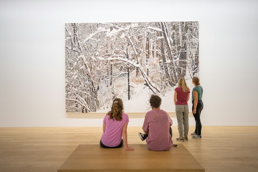 Vorschau Bild von Franz Gertsch, Bern