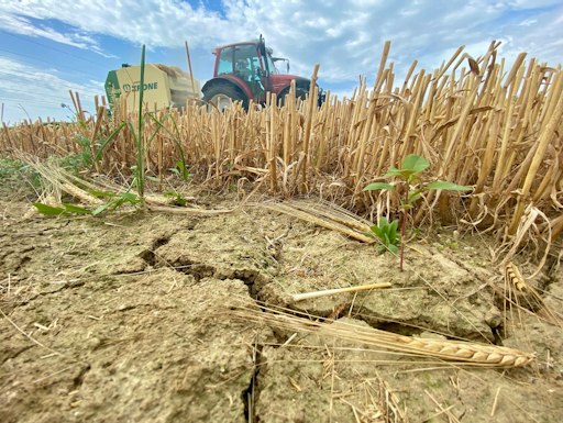 Vorschau Bild von Die Trockenheit trifft viele Landwirtinnen und Landwirte
unmittelbar