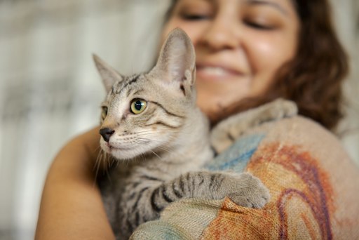 Viele Tiere, die im Tierschutzhaus auf eine Adoption warten,
haben eine zweite Chance verdient. Es lohnt sich immer über eine
Adoption nachzudenken.
