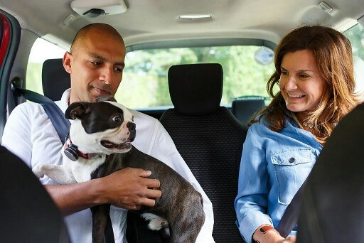 Für viele Österreicher*innen gehört ihr tierischer Begleiter fest zur Familie, Hunde sind die häufigsten Mitreisenden.