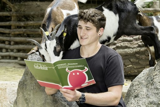 Vorschau Bild von Pädagoginnen und Pädagogen können die kostenlosen Materialien von
1. 10. bis 31.12. 2026 versandkostenfrei bestellen. Info:
www.tierschutzmachtschule.at Hinweis: Das Foto darf nur in
Zusammenhang mit dieser Meldung verwendet werden.