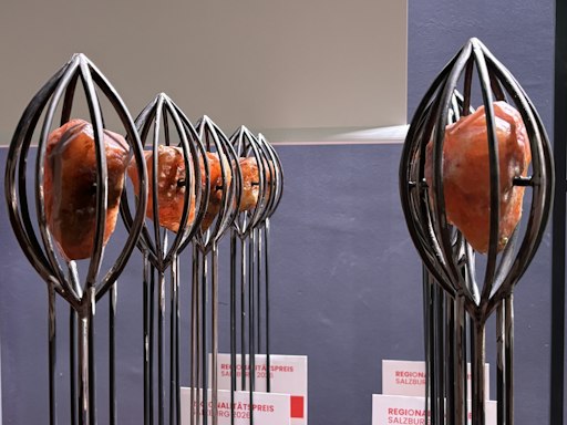 Das Salzherz, die begehrte Trophäe, wurde an Preisträgerinnen und
Preisträger in zehn Kategorien vergeben.