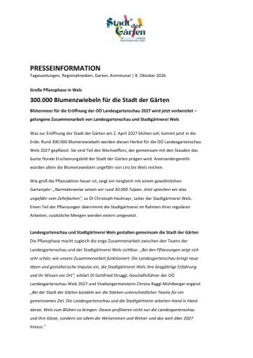 Vorschau Bild von Große Pflanzphase in Wels: 300.000 Blumenzwiebeln für die Stadt der Gärten