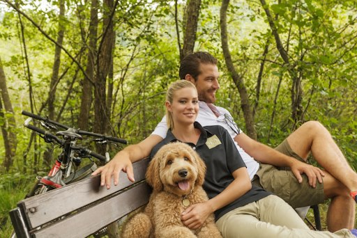 Waldportrait mit Hund - KI bearbeitet