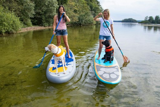 Campingurlaub mit Hund am Kellersee: Auf dem zweitplatzierten
Naturpark-Camping Prinzenholz können Gäste mit ihren Vierbeinern
auch gemeinsame Ausflüge aufs Wasser unternehmen. Bildrechte:
PiNCAMP / Naturpark Camping Prinzenholz // Weiterer Text über ots
und www.presseportal.de/nr/143896 / Die Verwendung dieses Bildes für
redaktionelle Zwecke ist unter Beachtung aller mitgeteilten
Nutzungsbedingungen zulässig und dann auch honorarfrei.
Veröffentlichung ausschließlich mit Bildrechte-Hinweis.