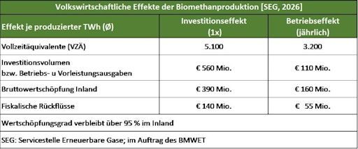Vorschau Bild von Volkswirtschaftliche Effekte der Biomethanproduktion