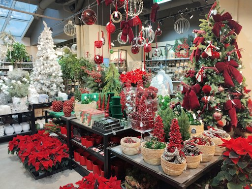 Auf rund 80 Prozent seiner Verkaufsfläche verbindet der Salon
Verde ab Ende Oktober Weihnachtsdekoration, Pflanzen und
Geschenkideen.