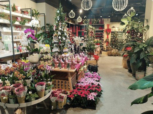 Vorschau Bild von Pflanzen und Dekoration gemeinsam denken: Der Salon Verde gibt
Anregungen für die persönliche Gestaltung des weihnachtlichen
Zuhauses.