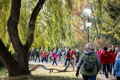 Vorschau Bild von Nach dem Aufwärmen startet die Gruppe gemeinsam in den
WiG-Herbstwalk 2026 rund um den Wasserpark Floridsdorf.