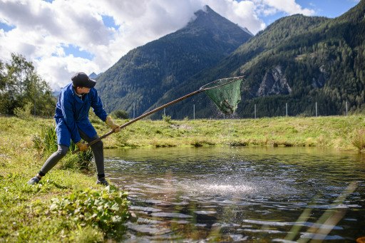 Initiativen wie das Projekt Ötztaler Genussbotschafter:innen, bei denen junge Nachwuchskräfte aus der Gastronomie unmittelbaren Kontakt zu heimischen Produzent:innen erhalten, belegen das jahrelange Engagement im längsten Tiroler Seitental.
