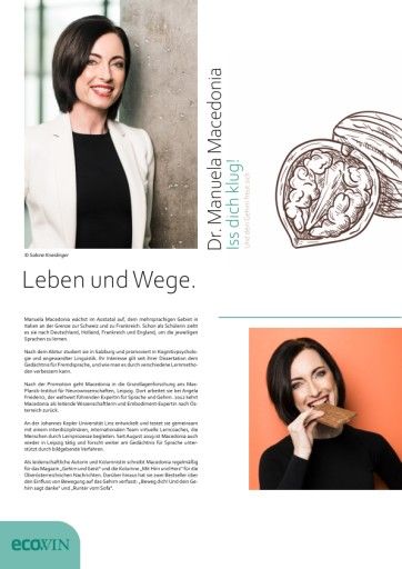 Vorschau Bild zu PDF