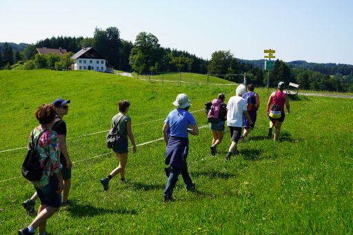 Vorschau Bild zu OTM
